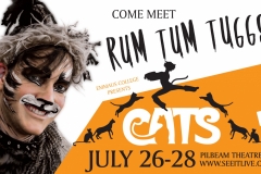 3x4 Rum Tum Tugger Final cc