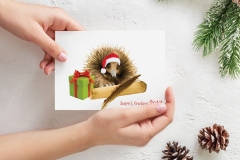 Bidgerdii-Christmas-Card