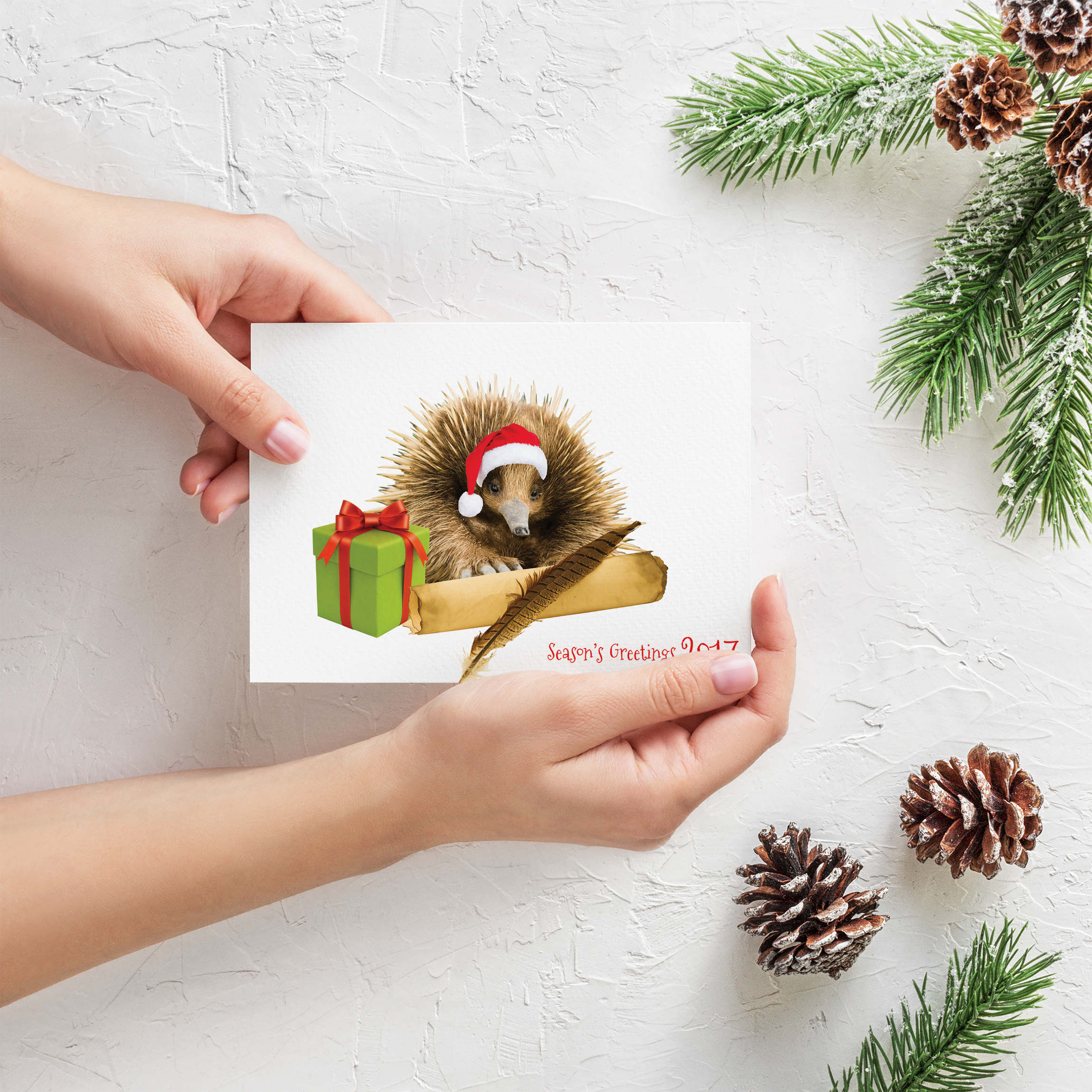 APAP Events Event Management and Graphic Design Rockhampton Bidgerdii Christmas Card 2017